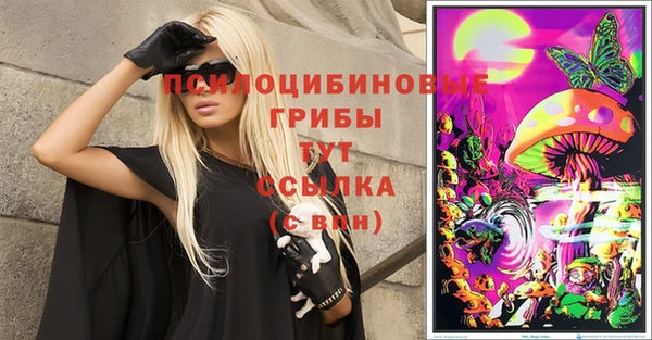 spice Медвежьегорск