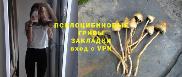 прущий лед Мегион